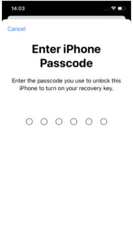 تحتوي هذه الصورة على سمة alt فارغة; اسم الملف هو image-19.png